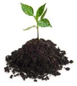 healthy-soil